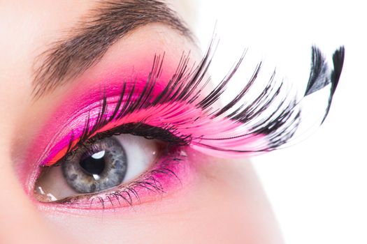 Macro eye of a woman with pink eyeshadow and long feather false eyelashes isolated on white background