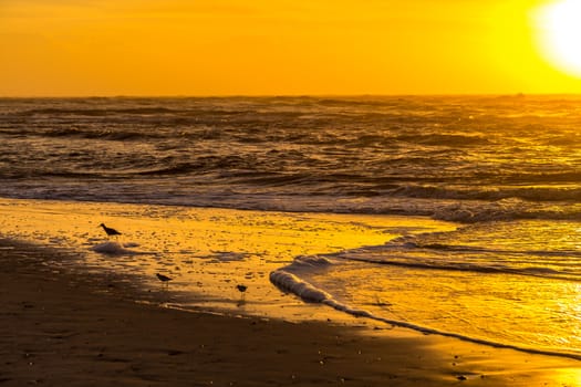 The sun rises at the beach on a cloudy morning over Amelia Island, Florida.