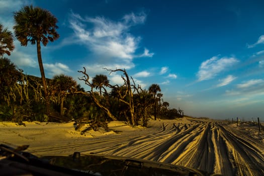 A passenger view of driving a four wheel drive vehicle through soft sand on the beach.