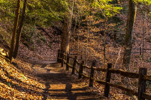 A stone walking path winds alongside Colt Creek near Saluda, North Carolina.