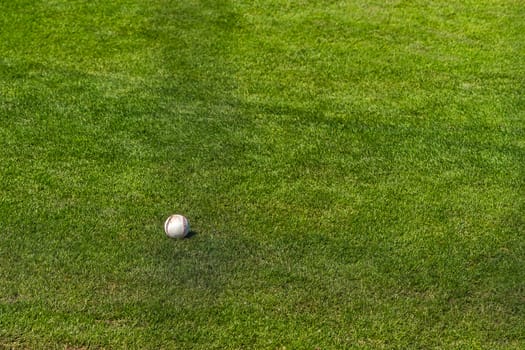 A baseball lies in the grass on a warm spring day.
