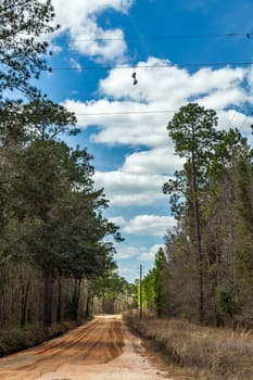 A pair of shoes hang from a power line above a dirt road in Southeastern Georgia.