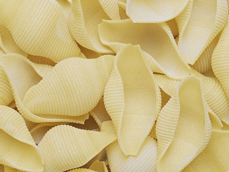 close up of raw uncooked conchiglie jumbo shell pasta food background