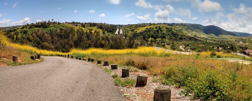 Aliso Viejo Wilderness Park view with yellow wild flowers and green rolling hills from the top hill in Aliso Viejo, California, United States