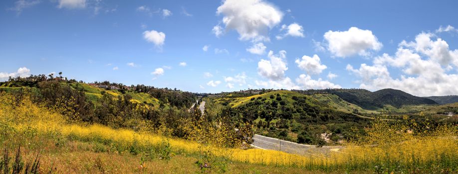 Aliso Viejo Wilderness Park view with yellow wild flowers and green rolling hills from the top hill in Aliso Viejo, California, United States