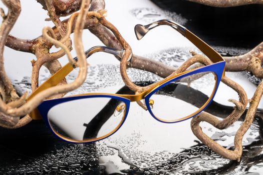 Glasses and branches on a studio glass background