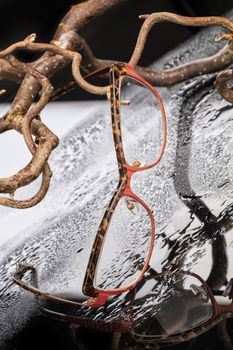 Glasses and branches on a studio glass background