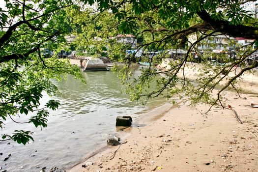 A Tree with beach, sea  and houses