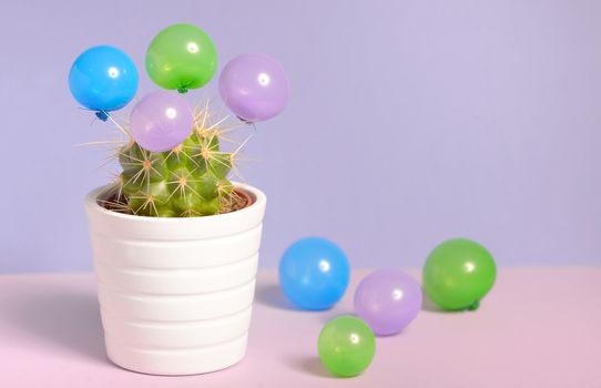 Abstract cactus in pot and small balloons