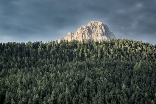 The top of Langkofel sunlit with thick pine forest below