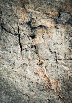 abstract background or texture dark fissures on limestone rock