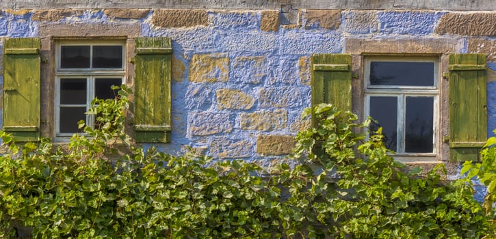 Blue painted german house facade with two old wooden windows and shutters, partially covered with grape vines