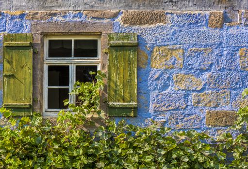 Architecture background from a medieval german house with its blueish wall, the wooden window and the vines