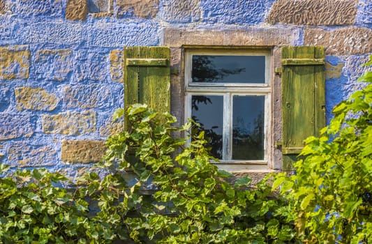 Architectural close up over a traditional german house painted in blue and half covered with vines
