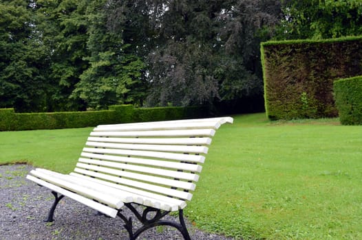 Bench of white rest of color to surround with a lawn and with trees.