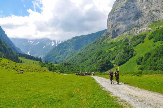 few hikers trekking in alps, Switzerland, with mountains in the background