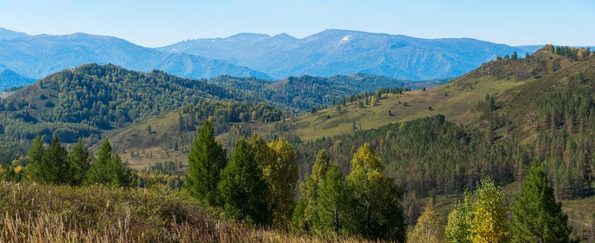 Beauty day in the mountains in Altay, panoramic picture