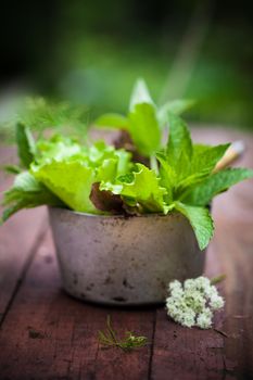 Fresh lettuce in rustic cup on a wooden background 