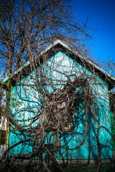 old wooden house braided vine