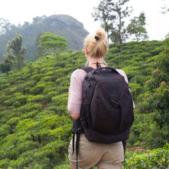 Active caucasian blonde woman enjoying fresh air and pristine nature while trekking among tea plantations near Ella, Sri Lanka. Backpacking outdoors tourist adventure.