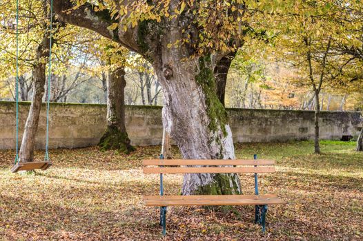 Wooden bench and swing in the autumn garden in France