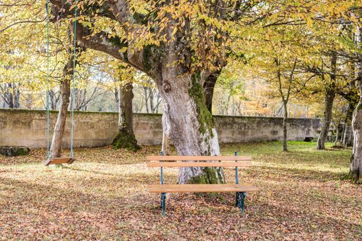 Wooden bench and swing in the autumn garden in France