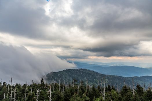 Heavy evening fog rolls across the Appalachian Mountains at Clingman's Dome.