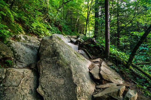 The Appalachian Trail as it crosses the Smoky Mountains in North Carolina and Tennessee.