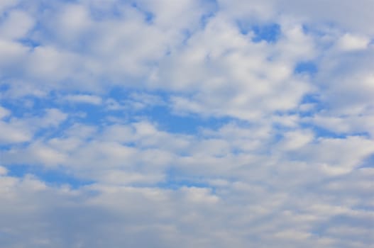 White altocumulus cloud in morning on the blue sky as background.