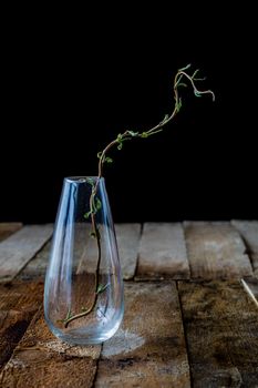 Dry flowers in a glass vase on a black background