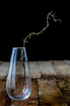 Dry flowers in a glass vase on a black background