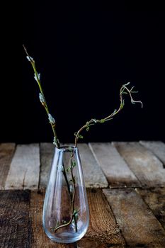 Dry flowers in a glass vase on a black background