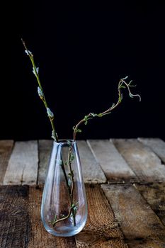 Dry flowers in a glass vase on a black background