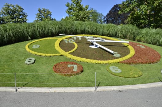 Clock made with several flowers and grass in a park