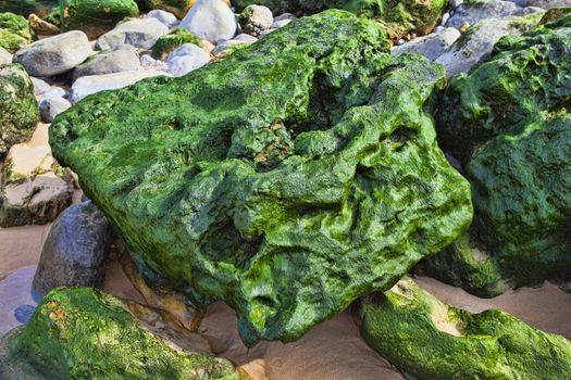 Green stones on the seashore