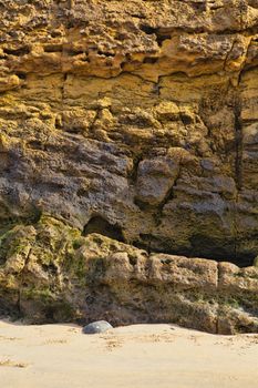 colorful texture of sea stone
