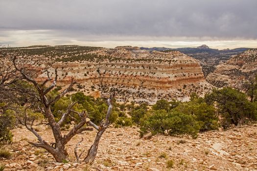 View from Devil's Canyon viewpoint. Utah.