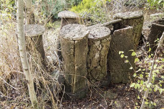 Old cork bee hives