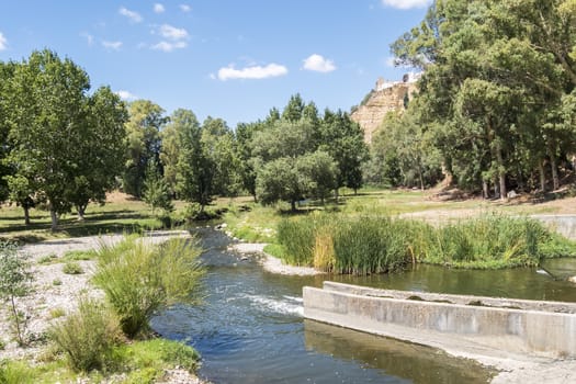 Landscape with river and trees