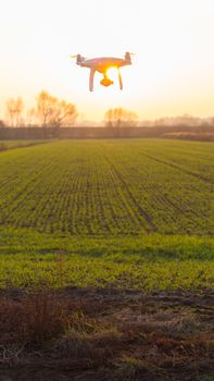 Flying drone above fields at sunset