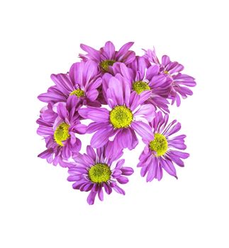 Pink bouquet flower isolated on white background