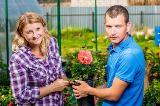 Young couple selects seedlings of flowers in the nursery