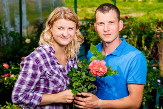 Happy couple with a rose in a nursery portrait