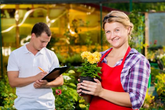 Team of professionals at work in the nursery