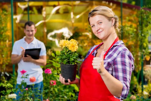 Successful gardeners florists are own business in the implementation of flowers