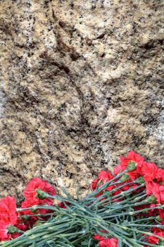 Red carnations on a background of a stone plate. You can add the text you want