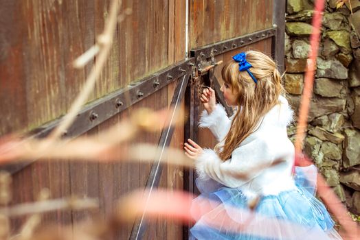 Side view of an little beautiful girl with long wavy hair in a blue silk dress in the scenery of Alice in Wonderland looking into the keyhole of the gate.