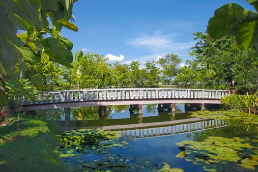 wooden white bridge in fresh garden cross pond with blue sky in bright day