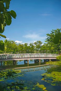 wooden white bridge in fresh garden cross pond with blue sky in bright day