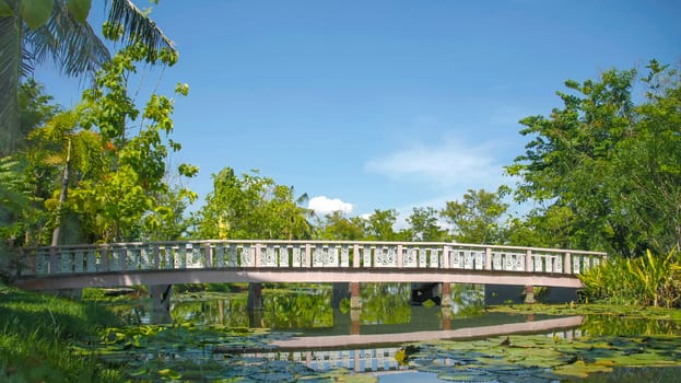 wooden white bridge in fresh garden cross pond with blue sky in bright day